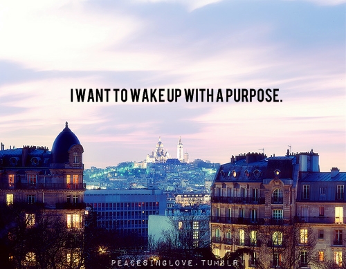 What's your Purpose?